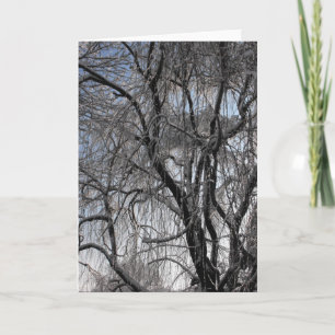 Cartes Pour Fêtes Annuelles Hiver ~ 24