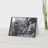 Cartes Pour Fêtes Annuelles Hiver 25 (Dos)