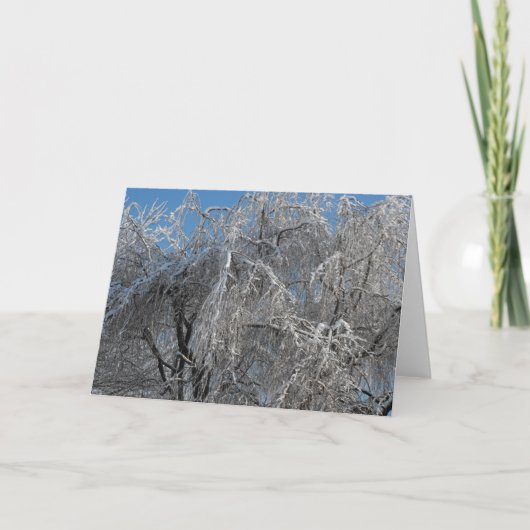 Cartes Pour Fêtes Annuelles Hiver 25 (Devant)