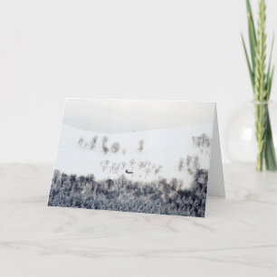 Cartes Pour Fêtes Annuelles Hiver à Paltinis - Roumanie