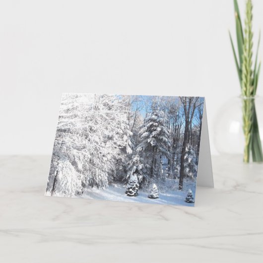Cartes Pour Fêtes Annuelles Hiver dans le Maine (Devant)