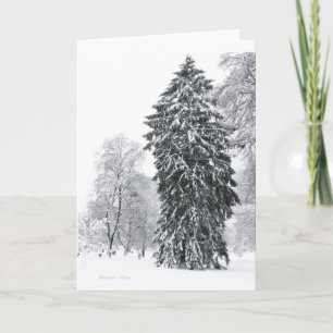 Cartes Pour Fêtes Annuelles Hiver dans le parc du Boston Public Garden