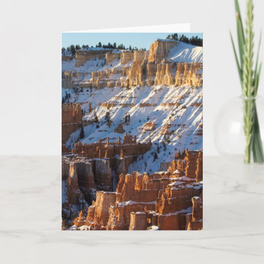 Cartes Pour Fêtes Annuelles Hiver de canyon de Bryce (Devant)