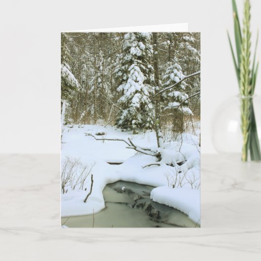 Cartes Pour Fêtes Annuelles Hiver Wetland (Devant)