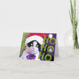Cartes Pour Fêtes Annuelles HO HO HO chat de Père Noël