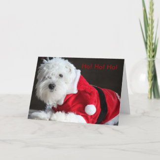 Cartes Pour Fêtes Annuelles Ho ! Ho ! Ho ! du chien de Père Noël