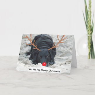 Cartes Pour Fêtes Annuelles Ho Ho Ho joyeux Noël