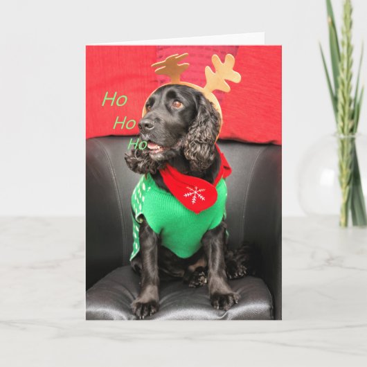 Cartes Pour Fêtes Annuelles HoHoHo mignonne chien (Devant)