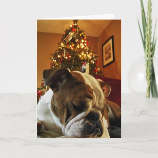 Cartes Pour Fêtes Annuelles HoHoHoMaya (Devant)