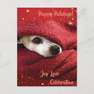 Cartes Pour Fêtes Annuelles Holiday Chihuahua