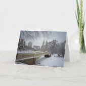 Cartes Pour Fêtes Annuelles Holiday Greetings (Dos)