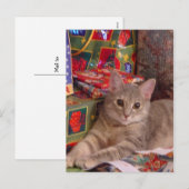 Cartes Pour Fêtes Annuelles Holiday Kitty (Devant / Derrière)