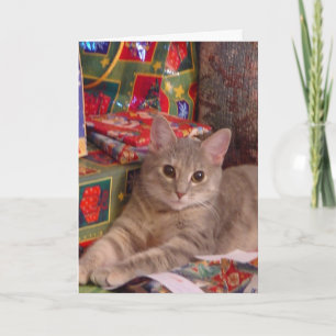 Cartes Pour Fêtes Annuelles Holiday Kitty