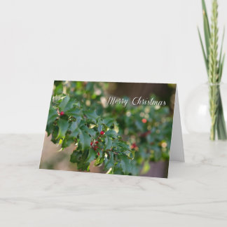 Cartes Pour Fêtes Annuelles Hollies pour Noël