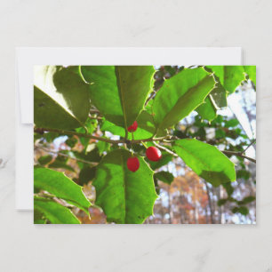 Cartes Pour Fêtes Annuelles Holly Feuilles II Vacances Nature Botanique