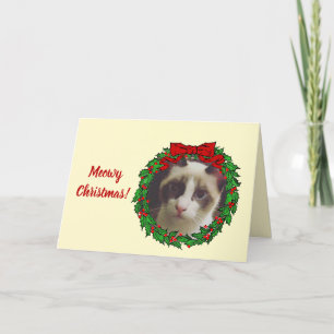Cartes Pour Fêtes Annuelles Holly Wreath Frame Meowy Christmas Ajouter une pho