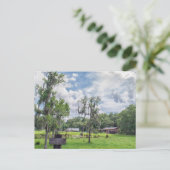 Cartes Pour Fêtes Annuelles Homestead Central Florida (Debout devant)