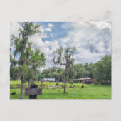 Cartes Pour Fêtes Annuelles Homestead Central Florida (Devant)