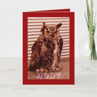 Cartes Pour Fêtes Annuelles Hoot Owl, Valentine's Card