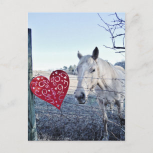 Cartes Pour Fêtes Annuelles HORSE coeur Valentine