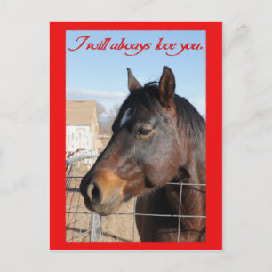 Cartes Pour Fêtes Annuelles Horse Valentine V