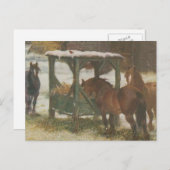 Cartes Pour Fêtes Annuelles Horses on Noël (Devant / Derrière)