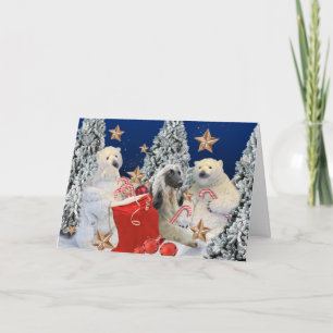 Cartes Pour Fêtes Annuelles Hound afghane et ours de Noël