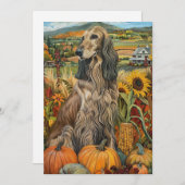 Cartes Pour Fêtes Annuelles Hound afghane récolte d'automne Thanksgiving Chien (Devant / Derrière)