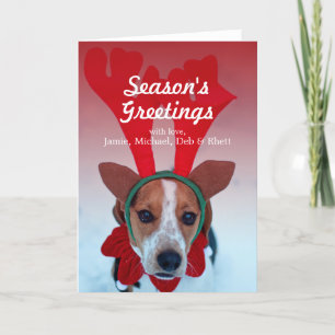 Cartes Pour Fêtes Annuelles Hound dog sitting in the snow wearing reindeer