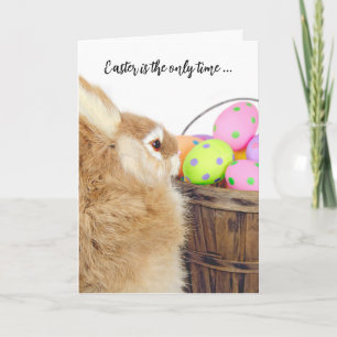 Cartes Pour Fêtes Annuelles Humour lapin et oeufs de Pâques