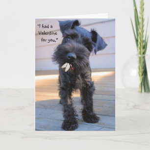 Cartes Pour Fêtes Annuelles Hungry Puppy Valentine's Day Greeting Card
