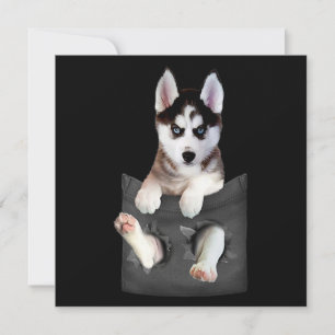 Cartes Pour Fêtes Annuelles Husky Sibérien Dans Pocket Puppy