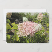 Cartes Pour Fêtes Annuelles Hydrangea Grandiflora (Devant)