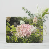 Cartes Pour Fêtes Annuelles Hydrangea Grandiflora (Debout devant)