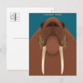Cartes Pour Fêtes Annuelles I am the Walrus Postcards (Devant / Derrière)