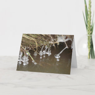 Cartes Pour Fêtes Annuelles Icicules