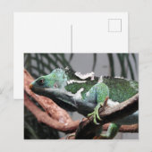 Cartes Pour Fêtes Annuelles Iguana Fijian Crested (Devant / Derrière)