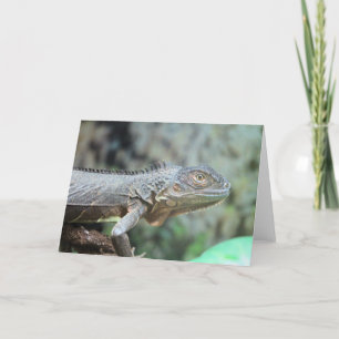 Cartes Pour Fêtes Annuelles Iguana rouge