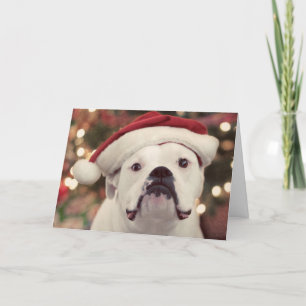 Cartes Pour Fêtes Annuelles Il n'est pas heureux avec le casquette !