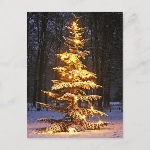 Cartes Pour Fêtes Annuelles Illuminated snowy christmas tree in the woods at n