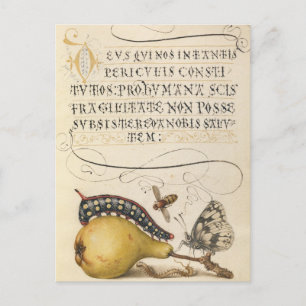 Cartes Pour Fêtes Annuelles Illustration botanique vintage