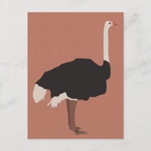 Cartes Pour Fêtes Annuelles Illustration d'Ostrich Bird