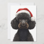 Cartes Pour Fêtes Annuelles Illustration d'un chien caniche noir festif avec u (Devant)