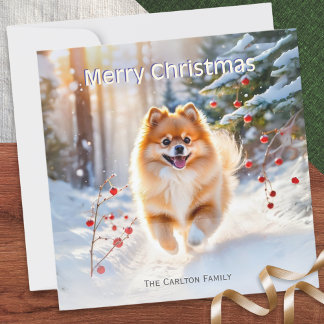 Cartes Pour Fêtes Annuelles Image de chien Pomeranian dans la neige Joyeux Noë