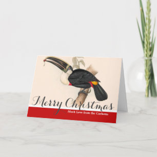 Cartes Pour Fêtes Annuelles Impression du Toucan de Cuvier : Oiseau Tropical V