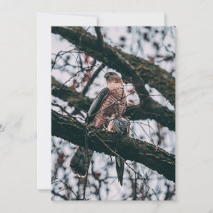 Cartes Pour Fêtes Annuelles Impression photo Hawk