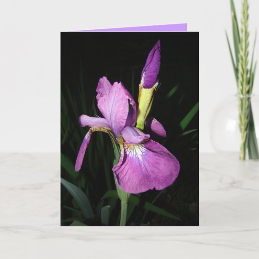 CARTES POUR FÊTES ANNUELLES IRIS (Devant)