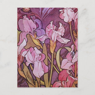 Cartes Pour Fêtes Annuelles Iris pourpre