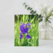 Cartes Pour Fêtes Annuelles Iris pourpre (Debout devant)