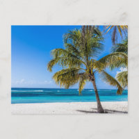 Isla Saona Beach République dominicaine cadeau Pos